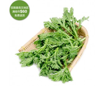 【疫情蔬果专区】茼蒿 500克【请单独下单,不要和其它专区商品混搭】 【疫情蔬果专区】茼蒿 500克【请单独下单,不要和其它专区商品混搭】